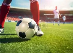 网球,布云朝克特,强遗憾出局,星空登录入口,星空平台,星空注册网址,星空app,星空官网,星空网站,星空网页版